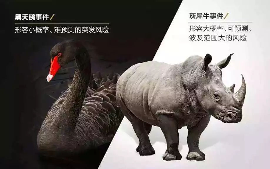 1554961092141617.jpg 1554961092141617.jpg