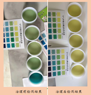 甲醛檢測盒 圖片3.png