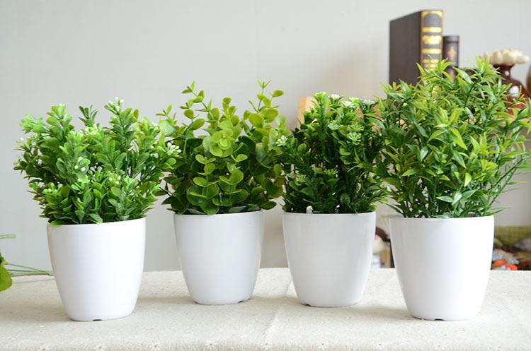 1602472803820899.jpg timg (1).jpg